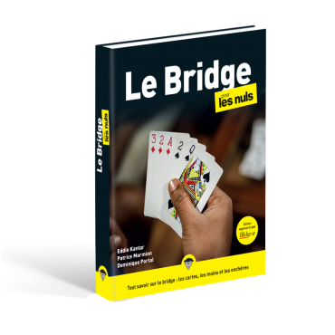 Bridge for dummies