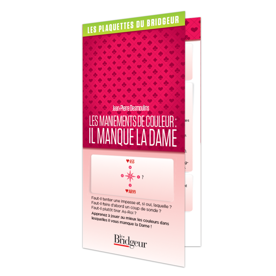 Les maniements de couleur: il manque la dame LIV10545 Librairie