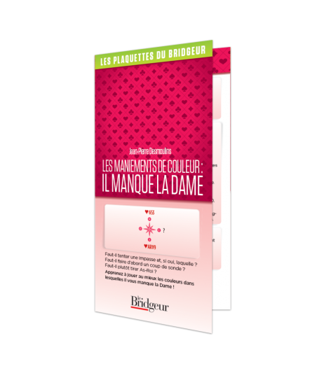 Les maniements de couleur: il manque la dame LIV10545 Librairie