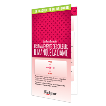 Les maniements de couleur: il manque la dame LIV10545 Librairie